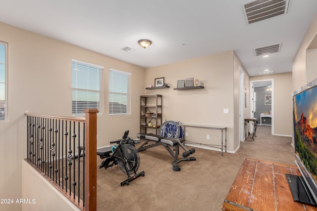 exercise area featuring carpet flooring