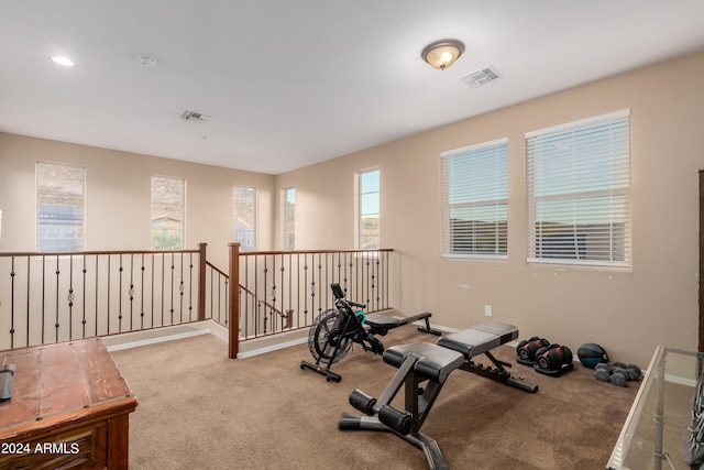 exercise area with light carpet