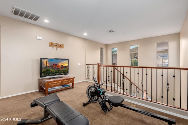 workout area featuring carpet flooring