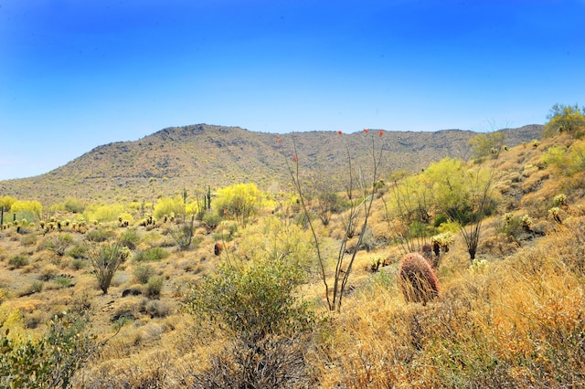 Listing photo 3 for 14317 E Mourning Dove Dr Unit 86, Fountain Hills AZ 85268