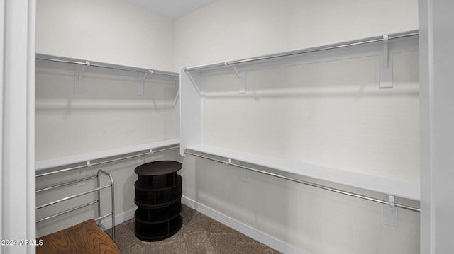 spacious closet with dark carpet