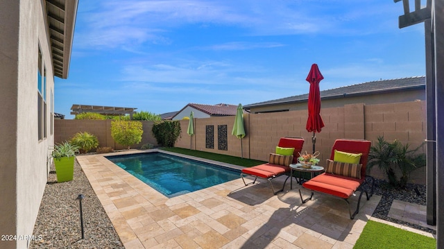 view of swimming pool with a patio area