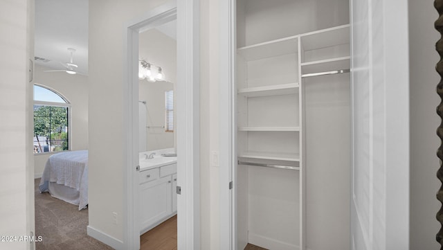 closet with sink