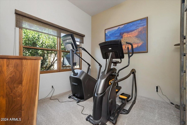 workout area with a healthy amount of sunlight and carpet