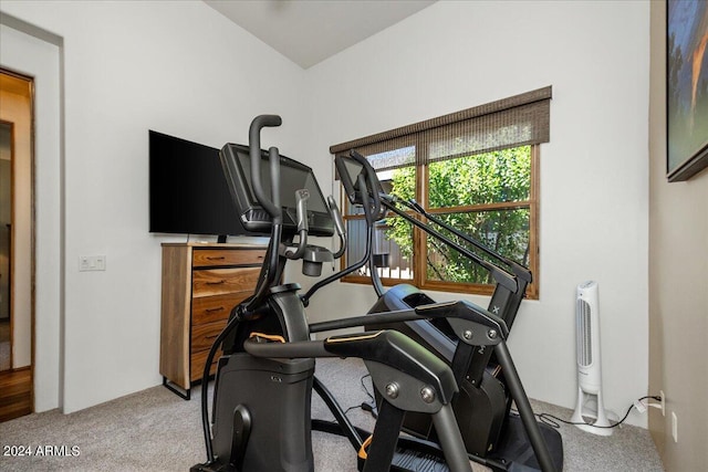 workout area featuring carpet