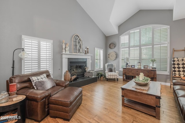 9708 E Pampa Ave, Mesa, AZ 85212 - living area featuring a fireplace, wood finished floors, and high vaulted ceiling