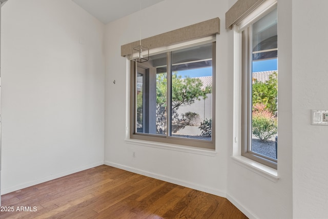 empty room featuring a wealth of natural light and hardwood / wood-style floors