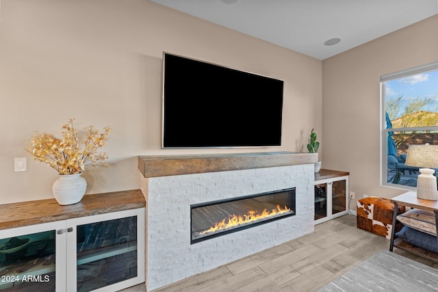 living room featuring a fireplace and wood-type flooring