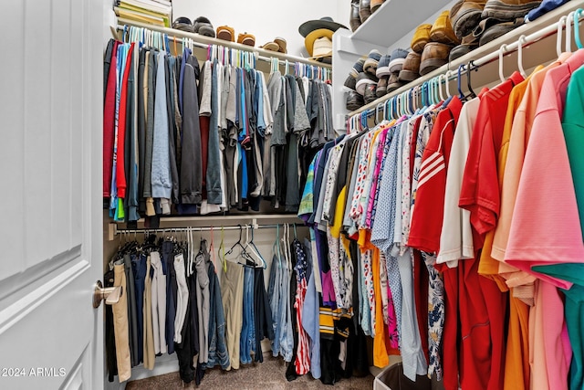 spacious closet with carpet