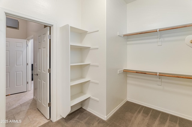 walk in closet featuring carpet floors