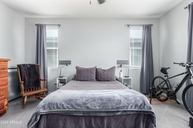 carpeted bedroom featuring multiple windows