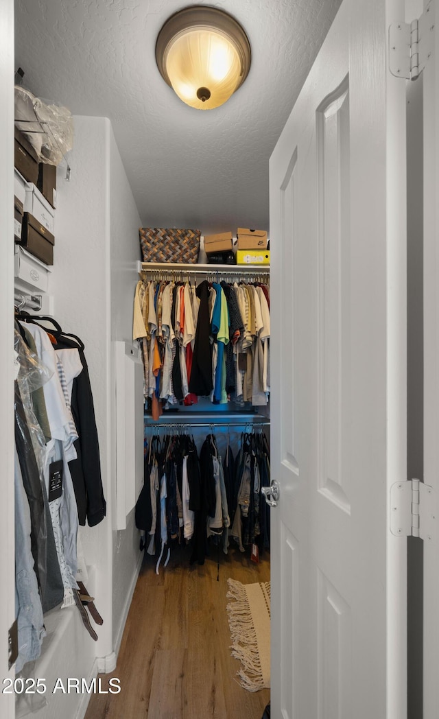 spacious closet featuring wood finished floors