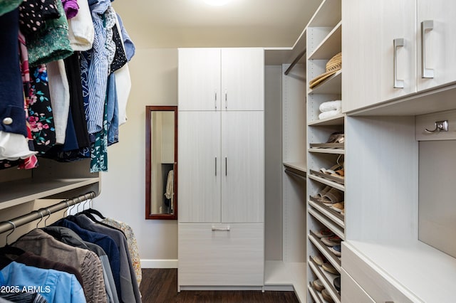 5240 Sierra Vis, Flagstaff, AZ 86001 - spacious closet with dark wood finished floors