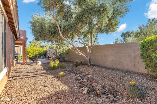 view of yard with a patio and a fenced backyard