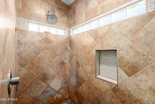 interior details featuring walk in shower