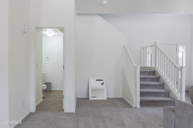 stairway with carpet flooring