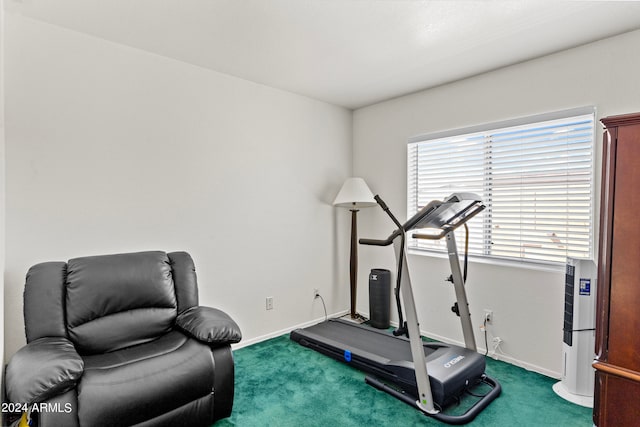 exercise area with carpet floors