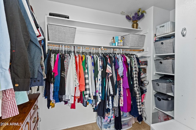 spacious closet featuring carpet