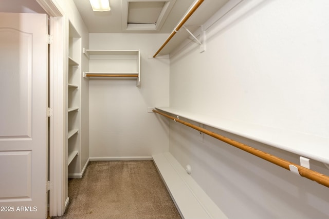 spacious closet featuring carpet