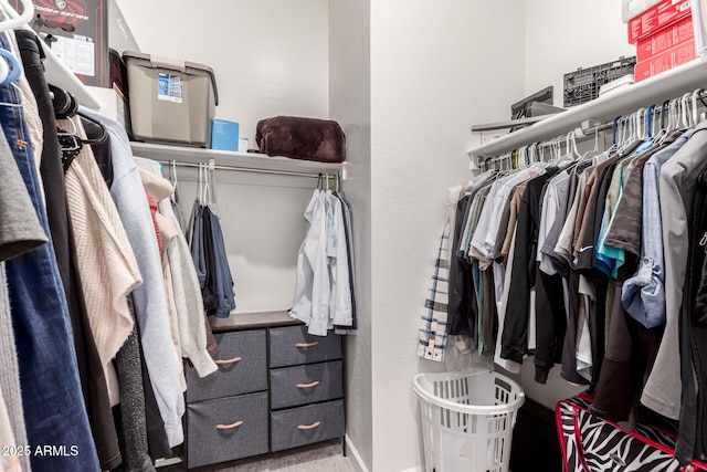 view of spacious closet