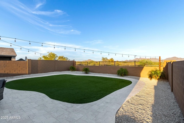 view of yard with a fenced backyard and a patio