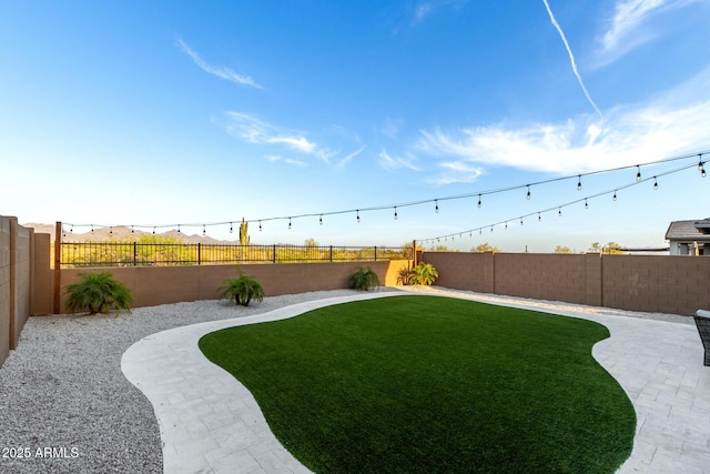 view of yard with a patio area and a fenced backyard