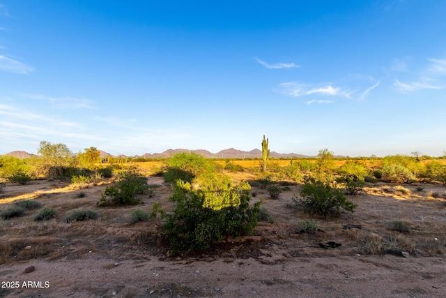 view of local wilderness with a mountain view