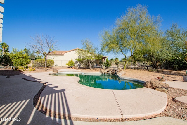 view of pool with a patio