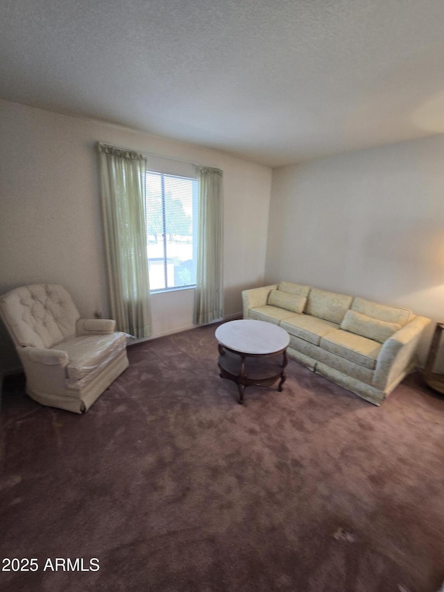carpeted living room with a textured ceiling