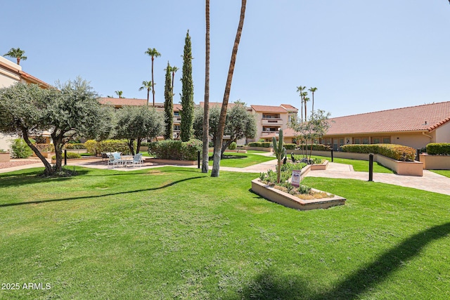 view of community featuring a yard