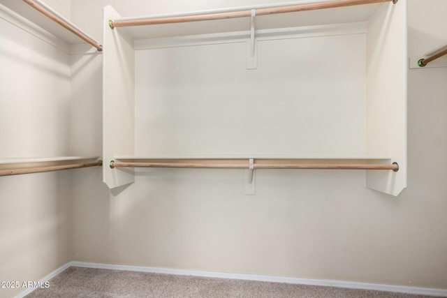 walk in closet with light carpet