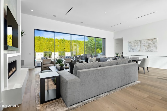 living room featuring light hardwood / wood-style floors