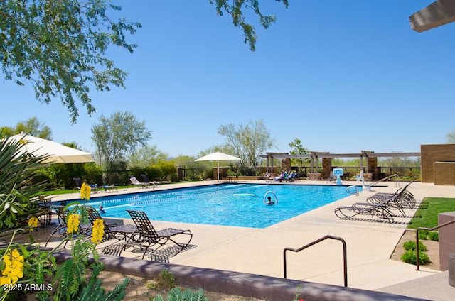 view of swimming pool with a patio