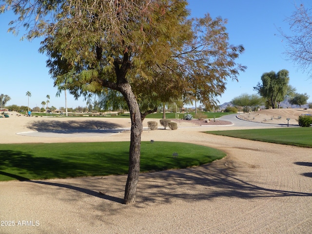 view of home's community with a yard