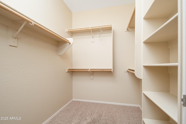 walk in closet featuring carpet