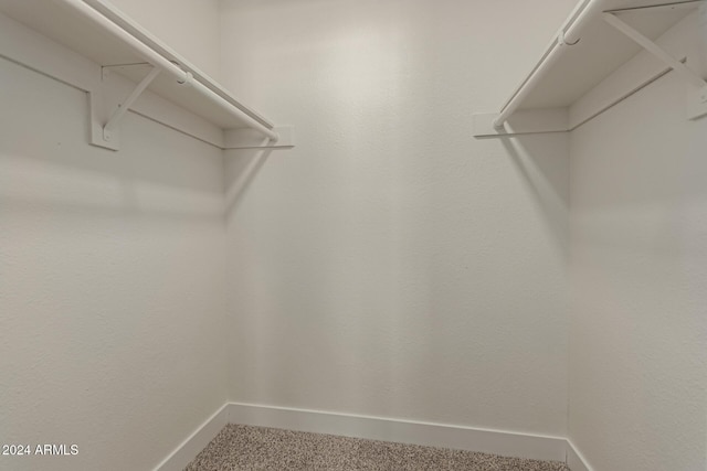 spacious closet featuring carpet