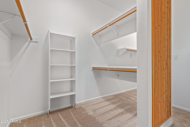 walk in closet featuring carpet