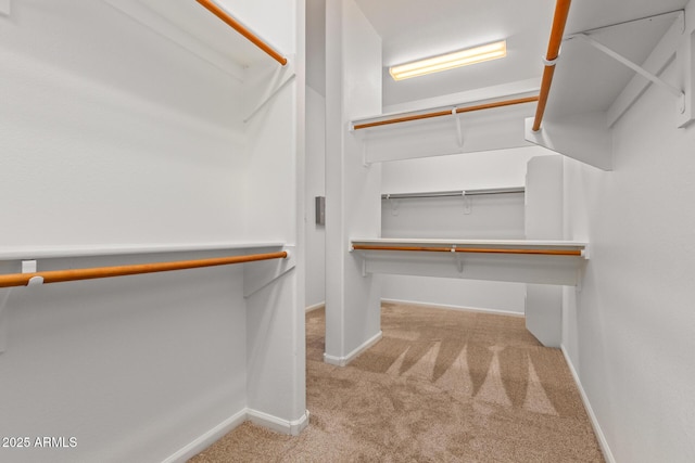 walk in closet featuring carpet flooring