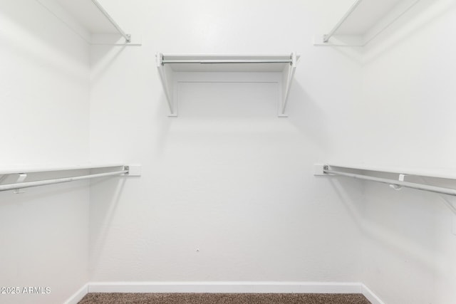 walk in closet with carpet