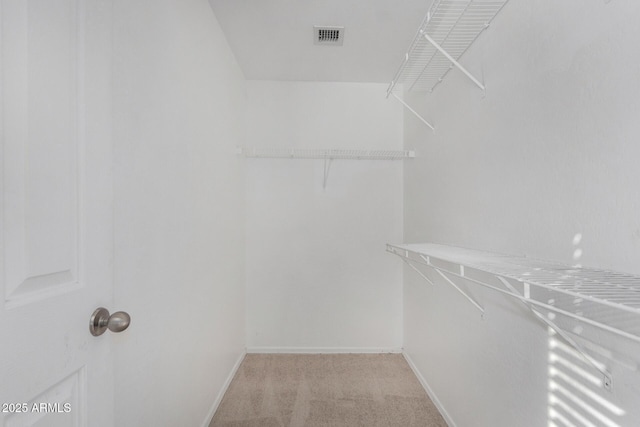 spacious closet with light carpet