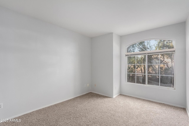 spare room featuring baseboards and carpet