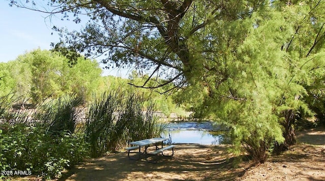 view of property's community