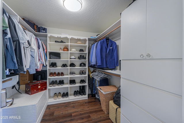 spacious closet featuring dark wood-type flooring