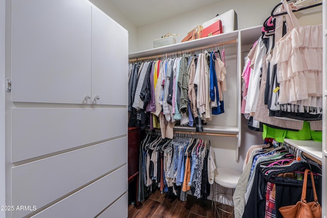 spacious closet featuring dark hardwood / wood-style floors