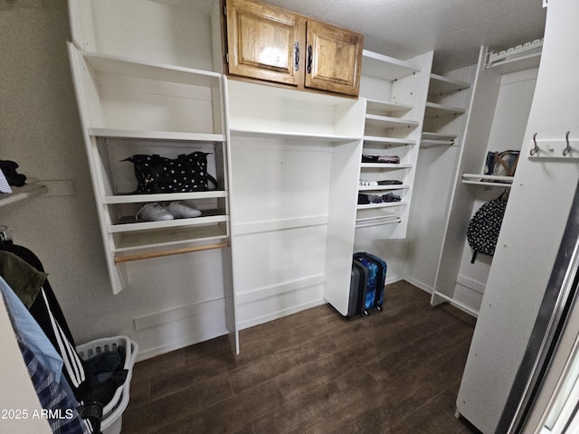 spacious closet with dark wood-type flooring