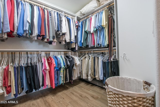 3441 N 162nd Ln, Goodyear, AZ 85395 - spacious closet with wood finished floors