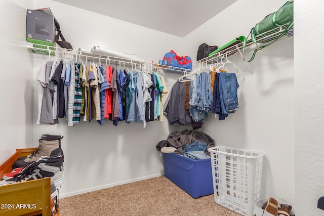 spacious closet with carpet floors