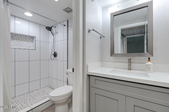 bathroom featuring a shower with shower curtain, toilet, and oversized vanity