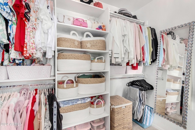 view of walk in closet