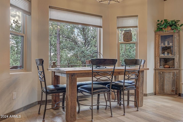 dining room with light hardwood / wood-style flooring